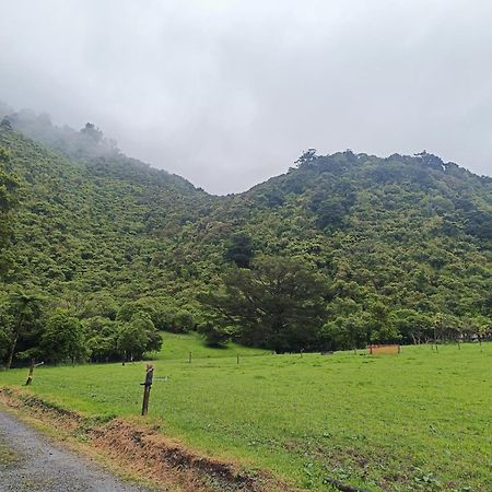 Gumboot Paradise Eco Stay Barrytown Экстерьер фото