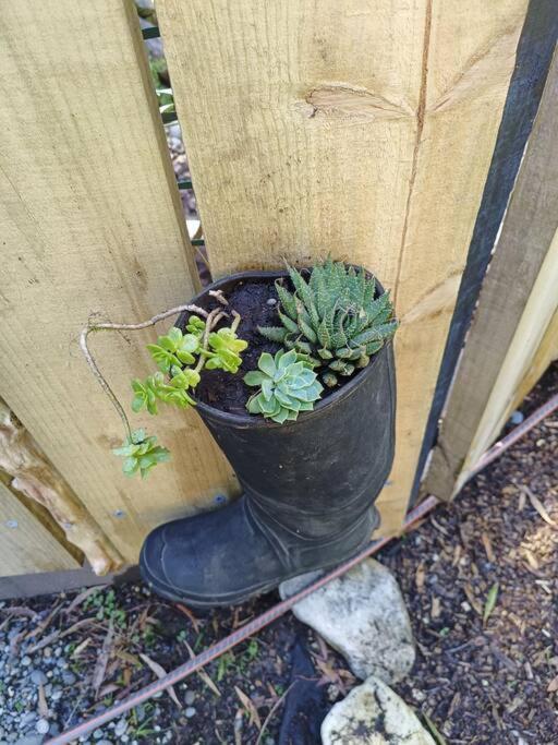 Gumboot Paradise Eco Stay Barrytown Экстерьер фото